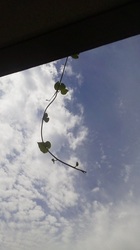 2017090310430002.jpg