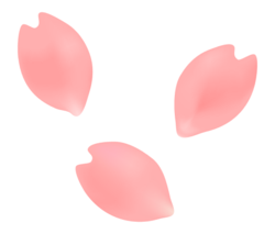 sakura_hanabira_illust_2837-768x656.png